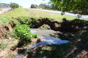 Esgoto atravessou a pista pelo sistema de escoamento de água e atingiu a região do Parque dos Pinheiros