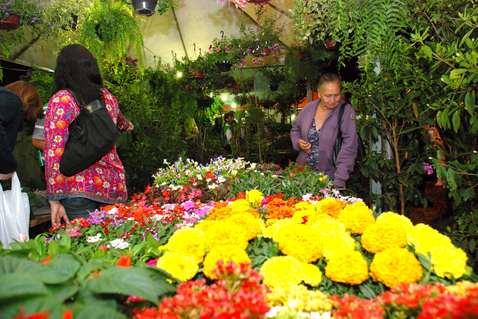 25ª edição da Feira do Verde será de 5 a 8 de setembro