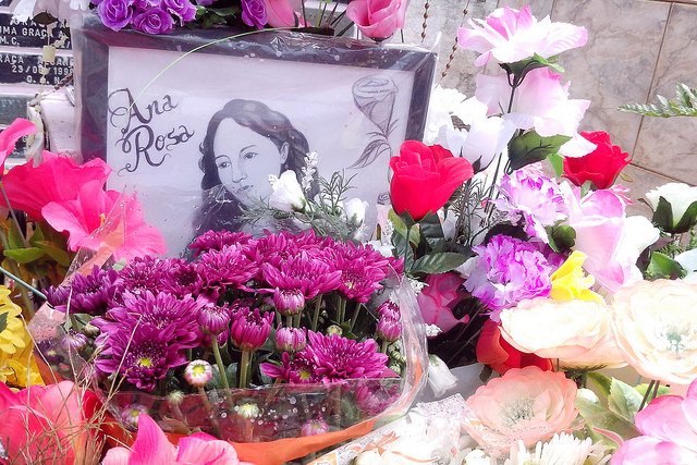 Annas Rosas e Chicutas