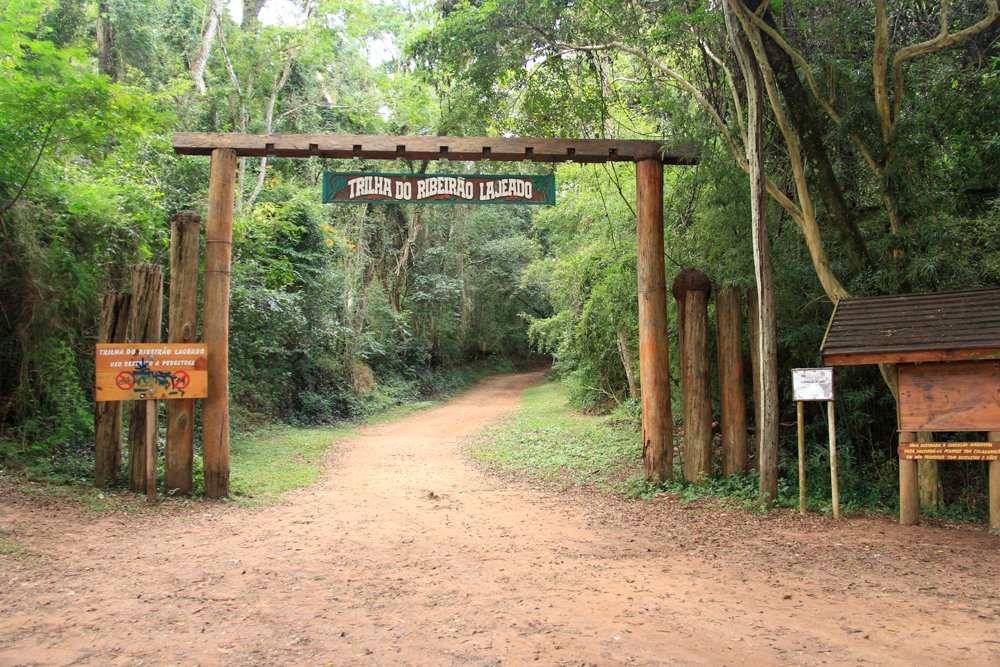 Entidades criticam lei que transfere parques de São Paulo à iniciativa privada