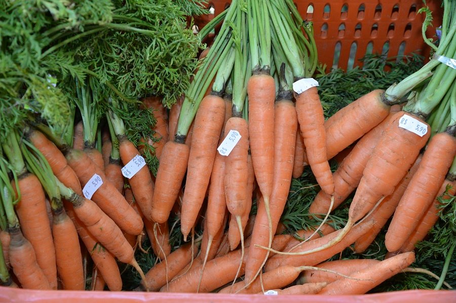 Avança na Câmara projeto que restringe comercialização de orgânicos