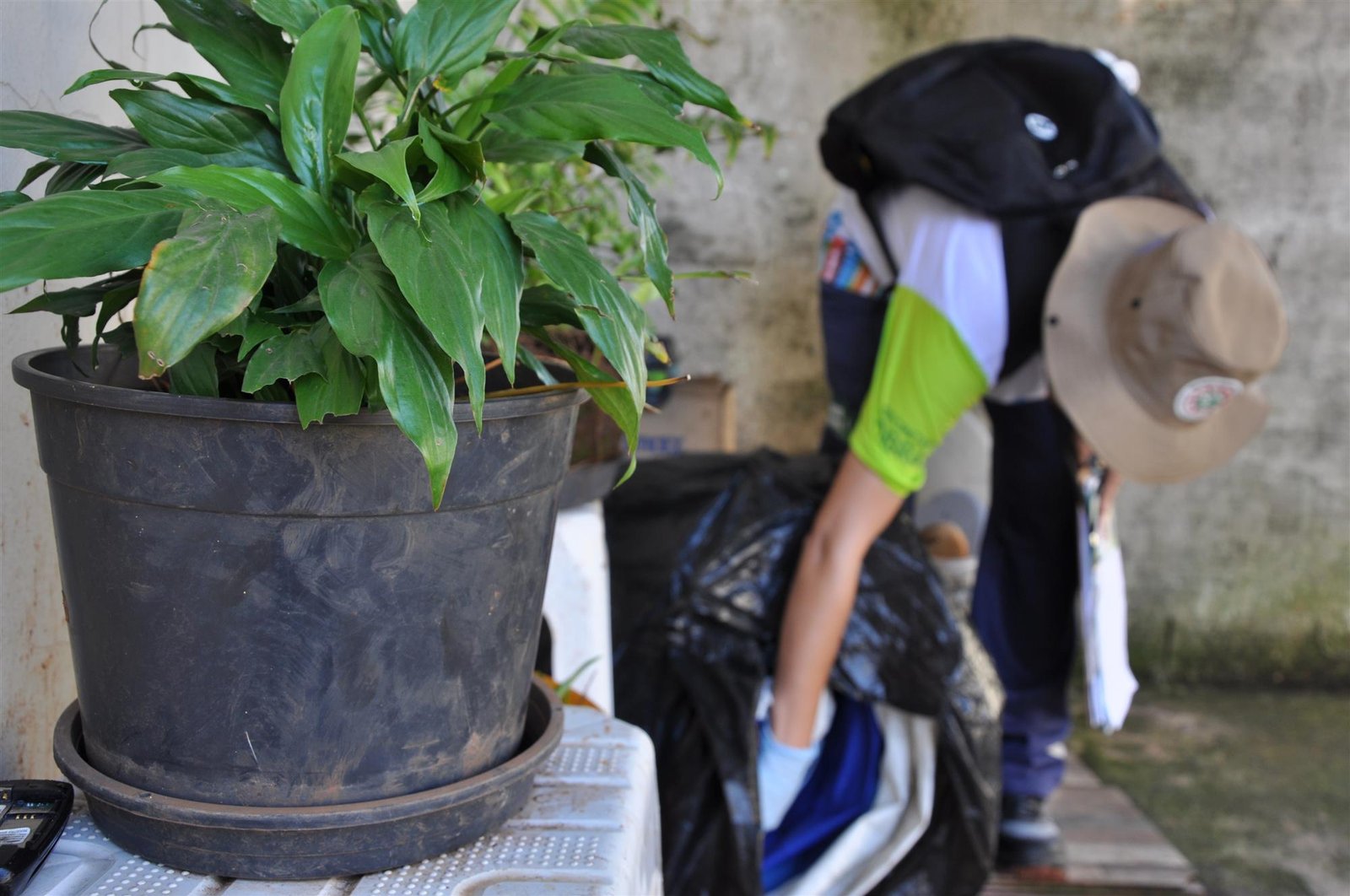 Botucatu terá ações de combate ao mosquito Aedes aegypti aos sábados