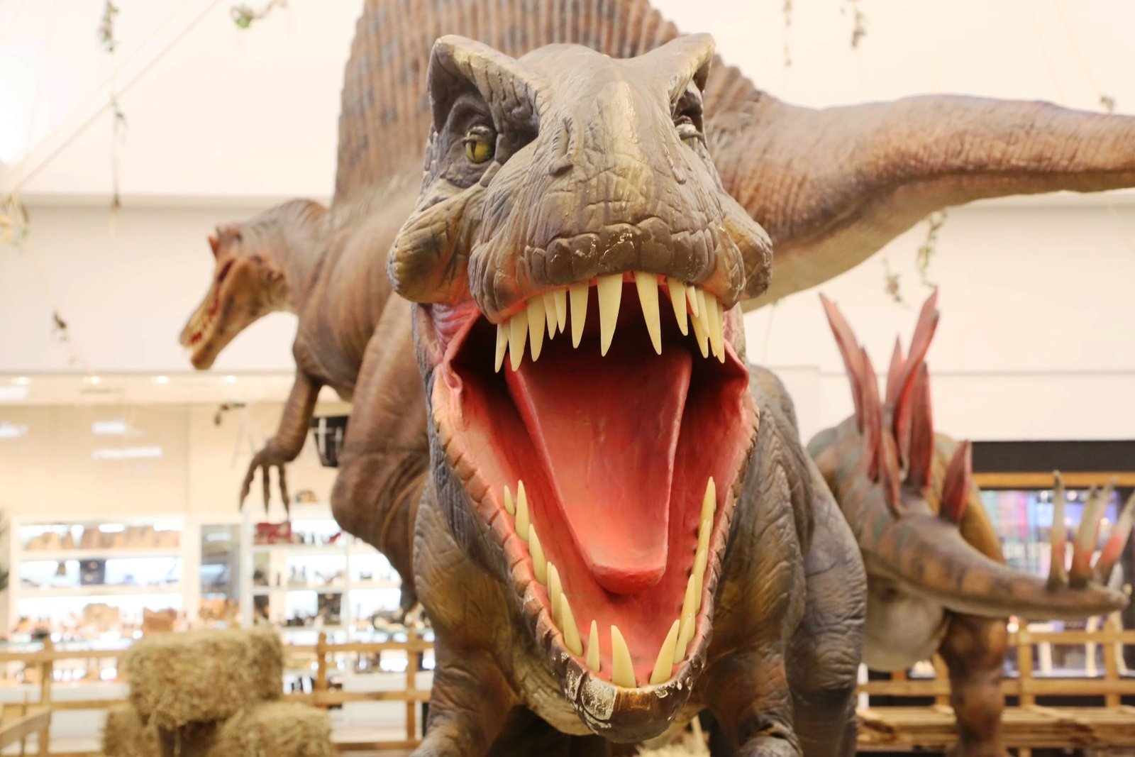 Exposição traz o mundo dos dinossauros a Botucatu