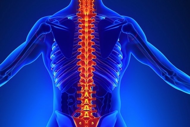 Osteoporose: por que devemos cuidar dos nossos ossos?