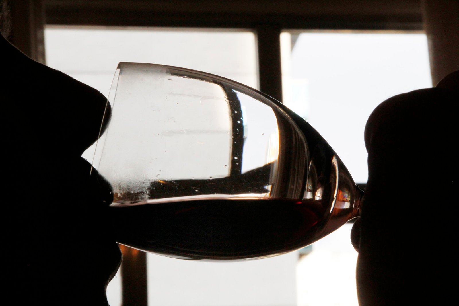 Cidades da região recebem avaliação para cultivo de uva e vinho