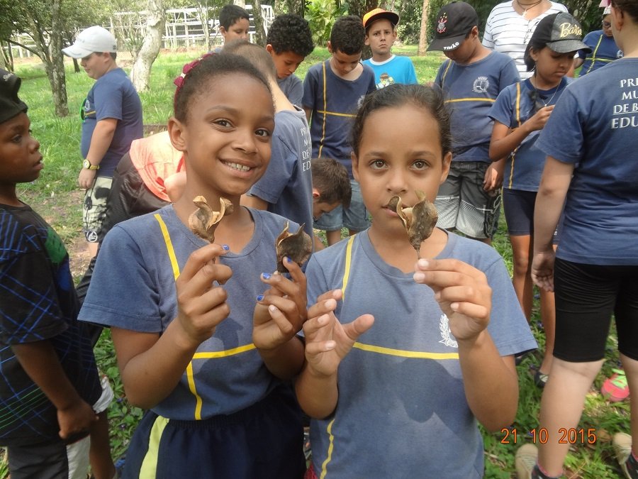 Jardim Botânico da Unesp de Botucatu recebeu mais de 800 visitantes em 2016