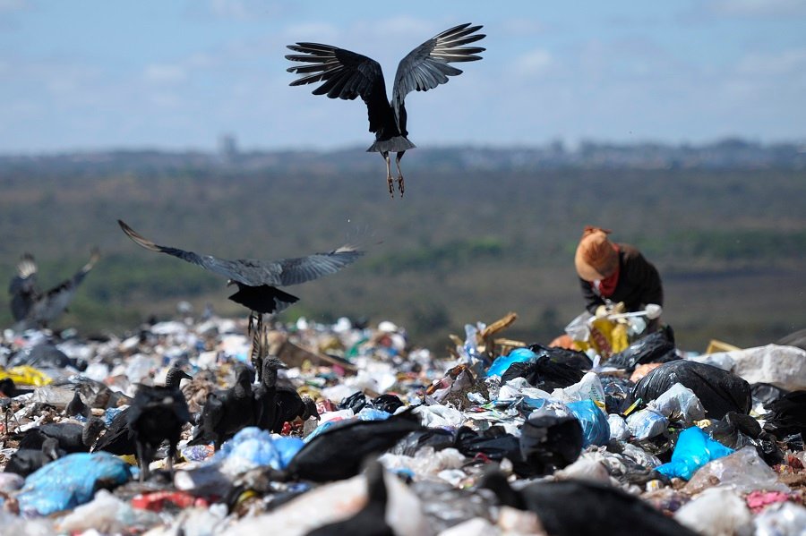 O livre mercado e suas consequências