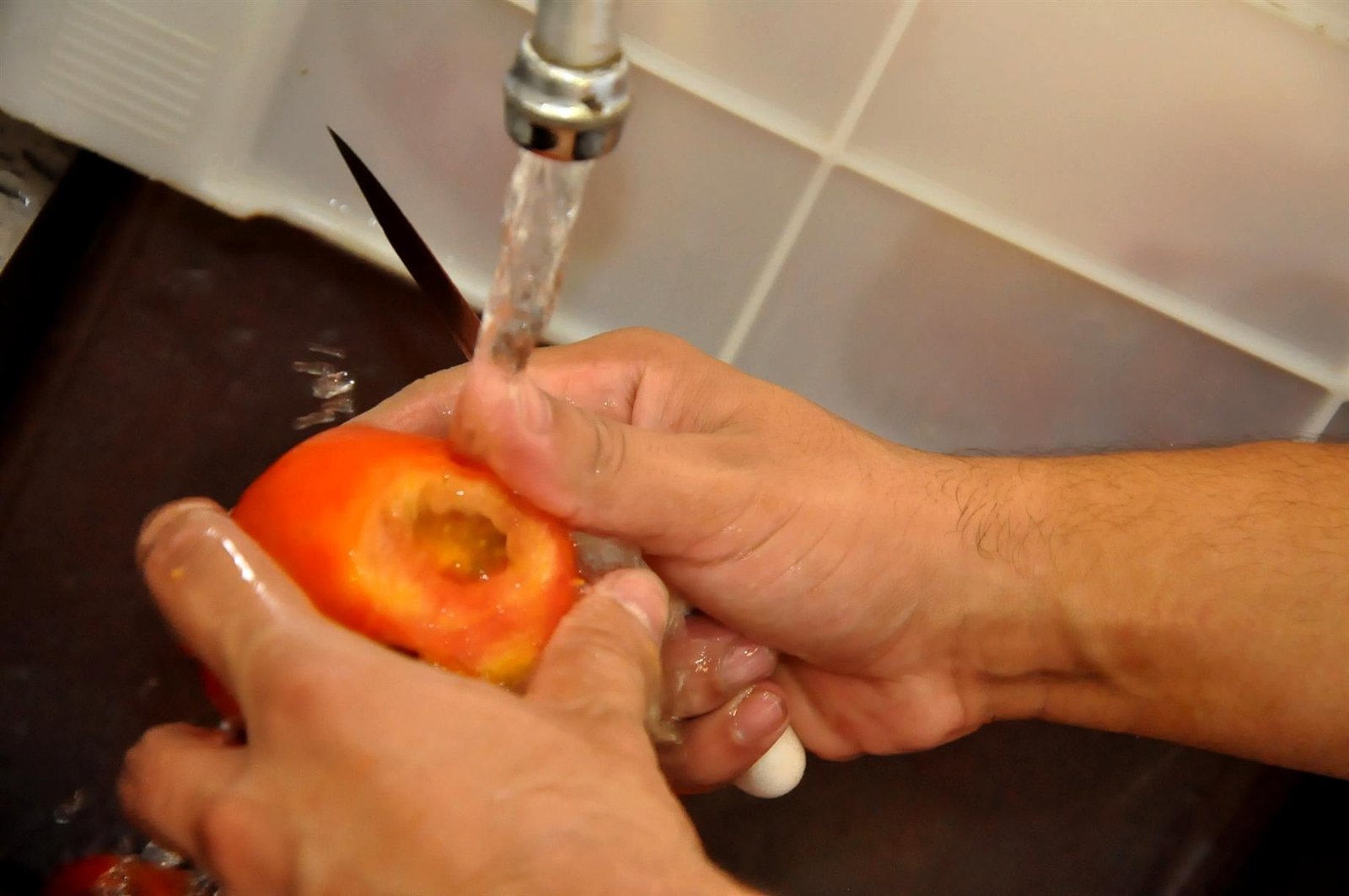 Unesp de Botucatu lança publicação Ensinando Boas Práticas aos Manipuladores de Alimentos