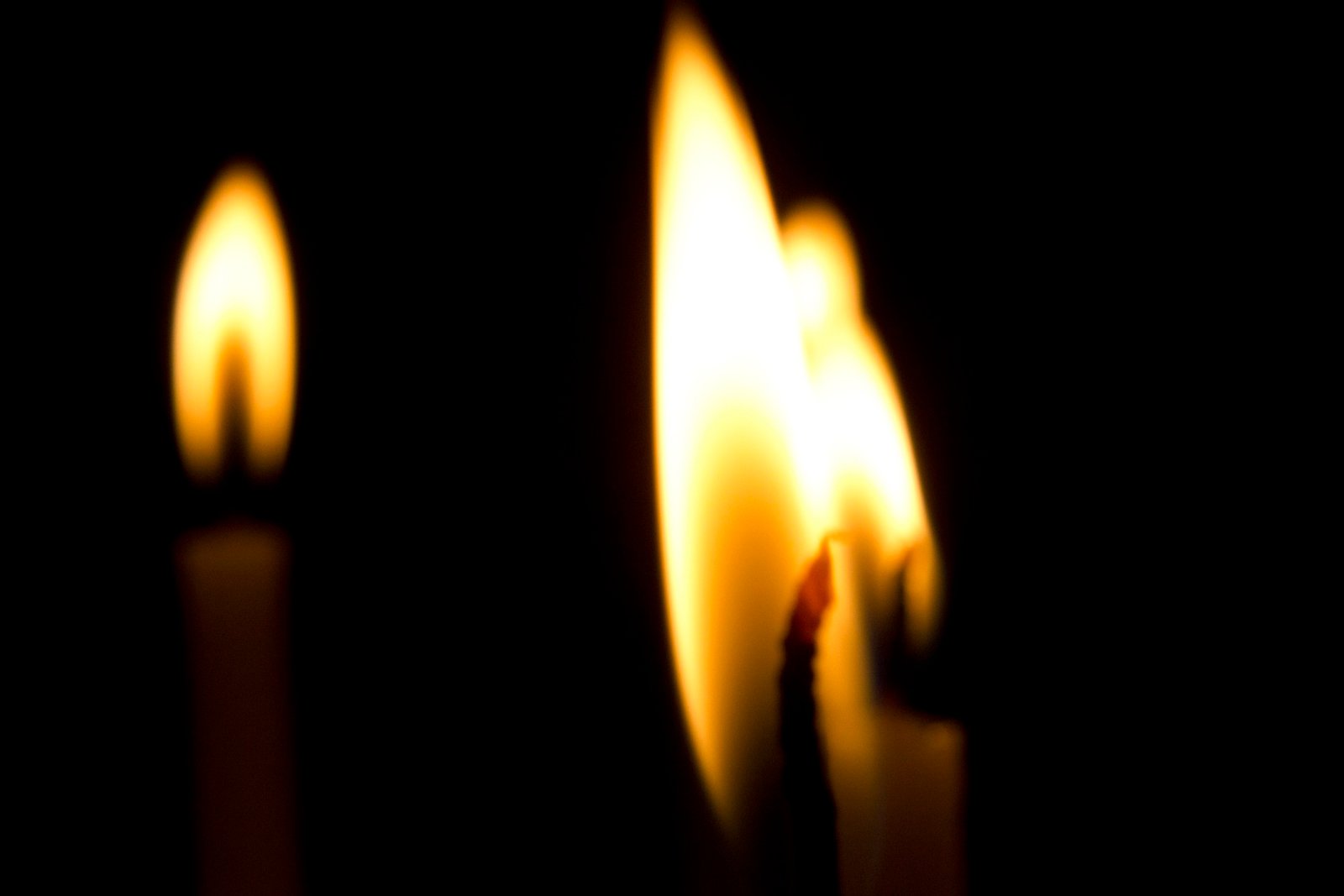 Renovação Carismática promoverá “Rebanhão” de Carnaval