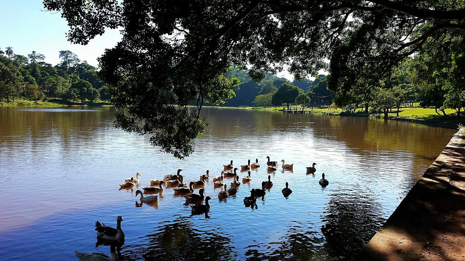 Horto Florestal de Avaré será municipalizado