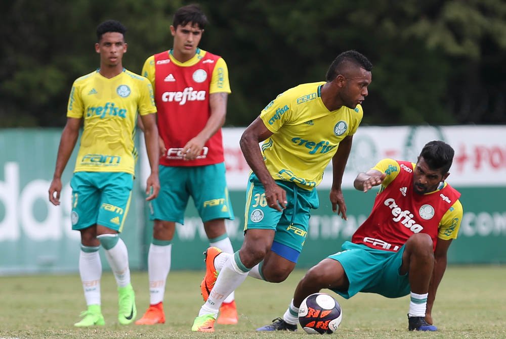 Palmeiras encara o Linense para embalar no Paulista