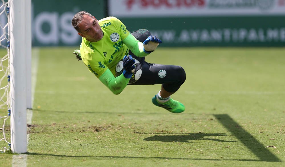Ponte Preta e Palmeiras abrem a semifinal do Paulistão em confronto inédito