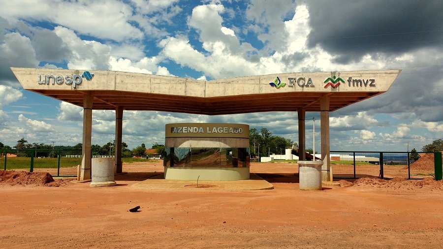 Programa de pós em Proteção de Plantas da Unesp de Botucatu recebe nota máxima em avaliação da Capes
