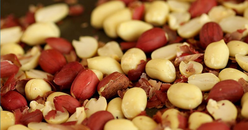 Pele de amendoim pode auxiliar a prevenir diabete e obesidade