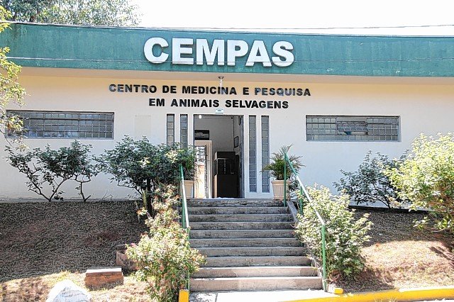 Unesp de Botucatu ampliará hospital para animais silvestres