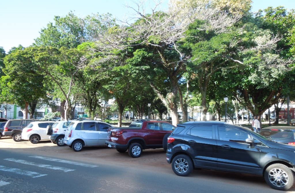 Trecho da Dr. Costa Leite estará interditado meia pista para serviço de poda, nesta terça (16)