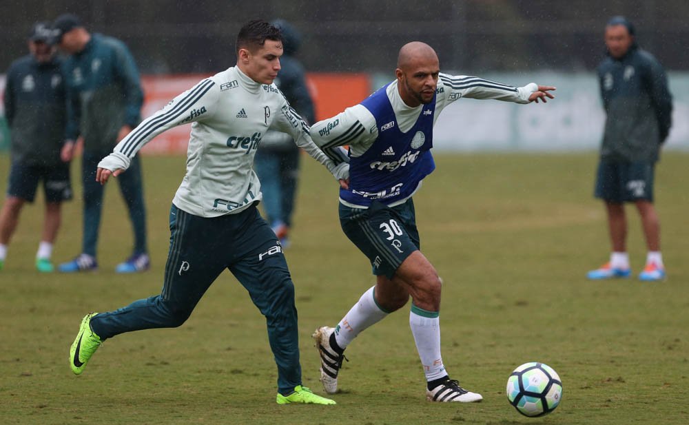 Com equipe reserva, Palmeiras enfrenta a Chape; já o Santos encara o Coritiba