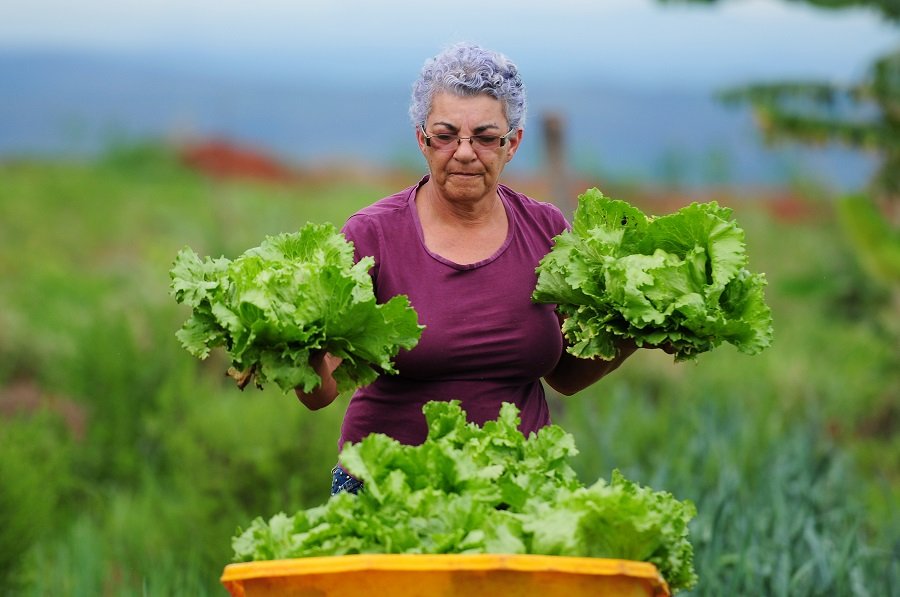Inscrições abertas para curso a distância de Segurança Alimentar
