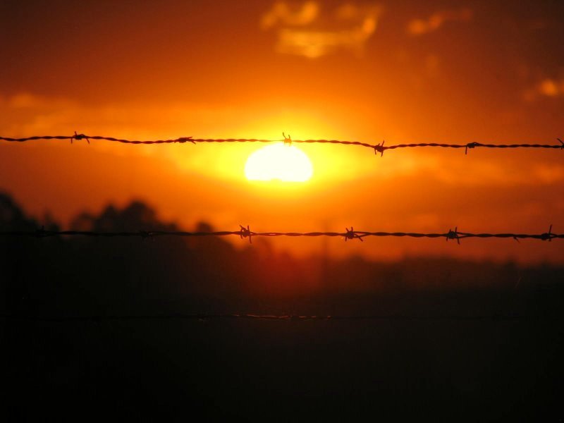 OPINIÃO | Violência nas áreas rurais brasileiras