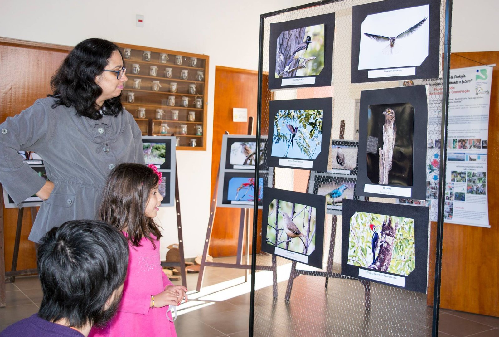 Projeto cria Clube de Observadores de Pássaros em Botucatu