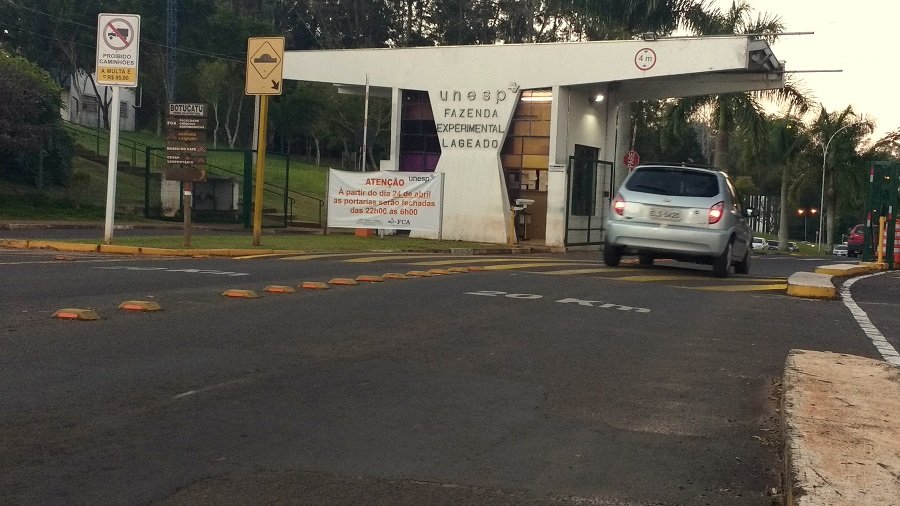 13º Dia de Campo Florestal acontece no dia 16 de agosto