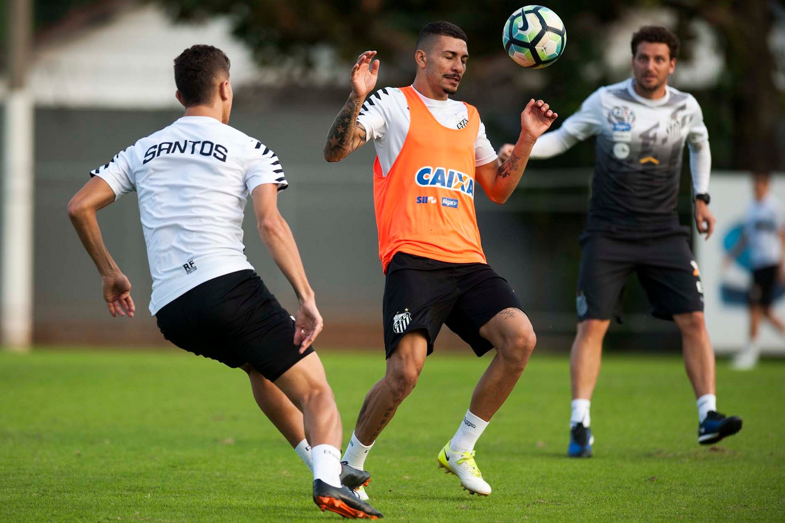 Santos e Ponte Preta abrem a rodada do final de semana do Brasileirão