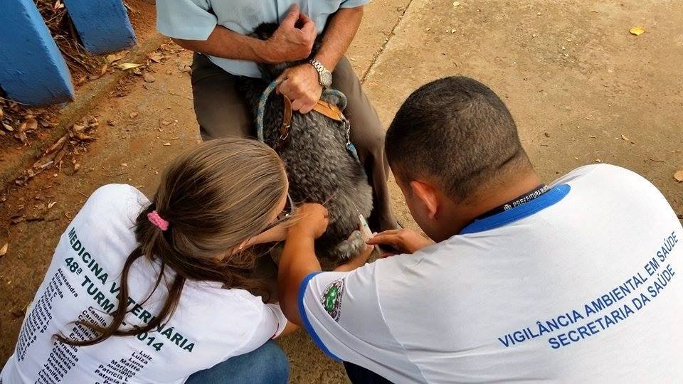 Posto permanente irá vacinar contra a raiva a partir deste sábado (2)