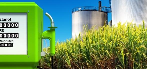 Usina de Álcool deverá gerar 200 novos empregos em Cerqueira César