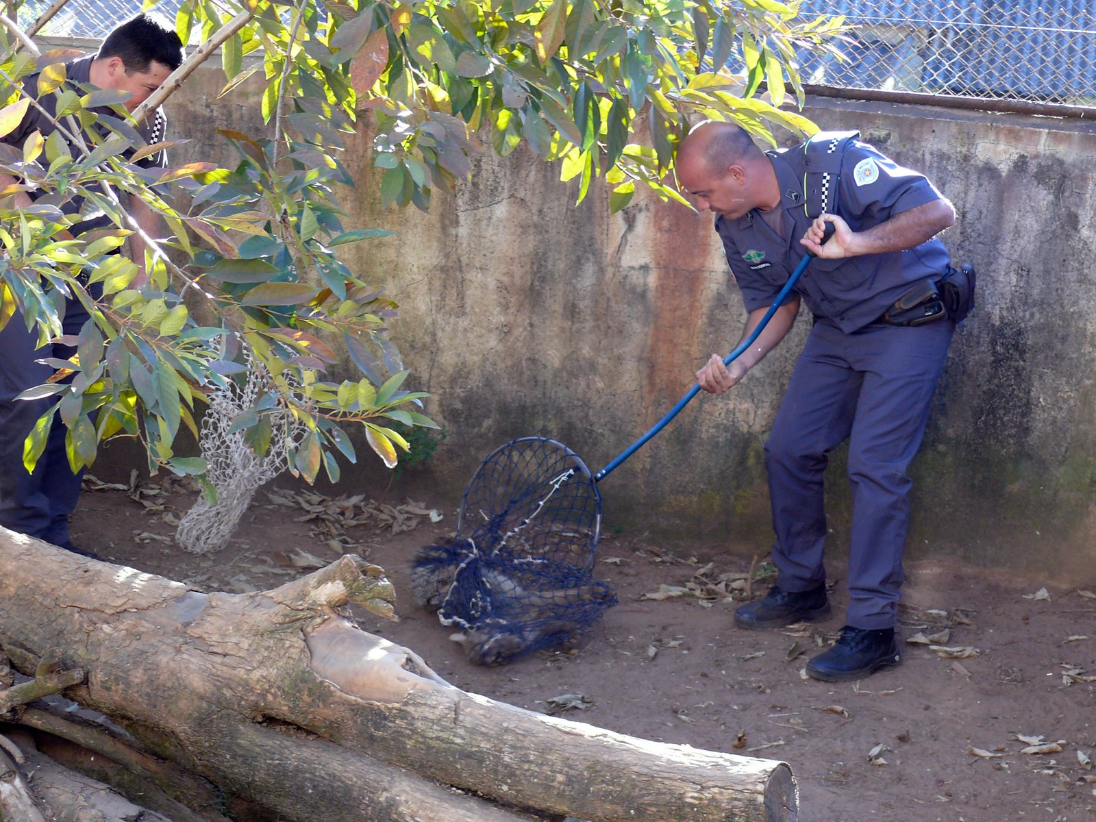 Cempas/FMVZ fornece treinamento a Polícia Militar Ambiental