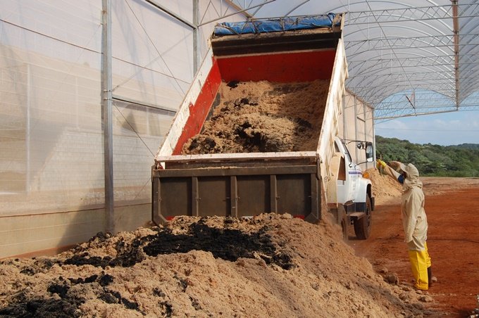Unesp de Botucatu pesquisa uso do lodo de esgoto como fertilizante em áreas agrícolas e florestais