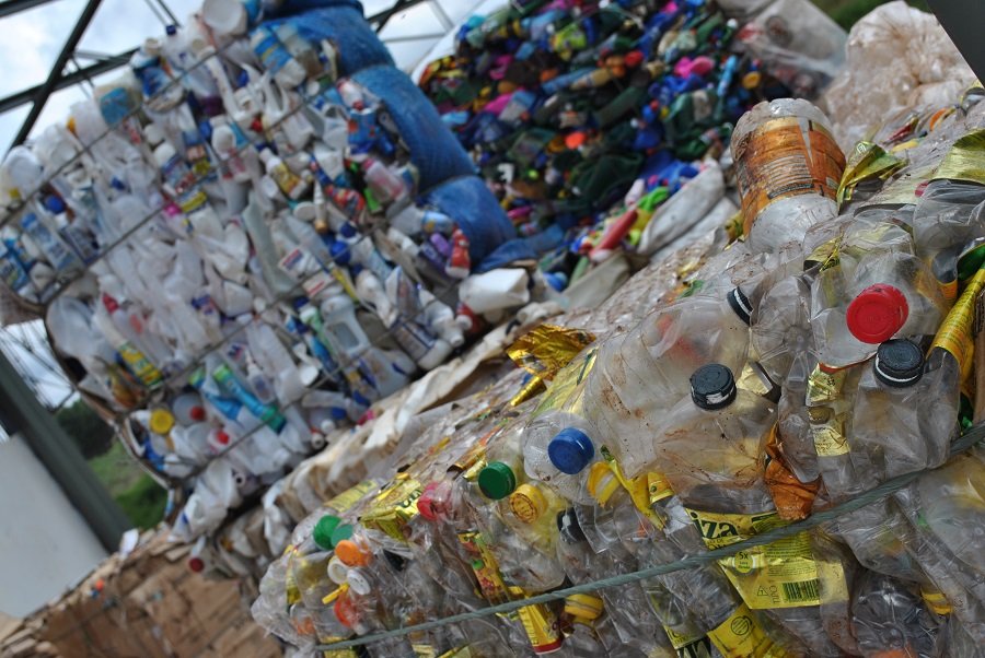 OPINIÃO | Preservar e conservar o meio ambiente começa dentro do seu lar