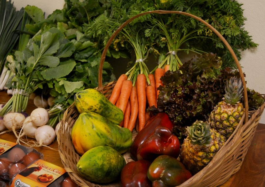 “Vegetarianismo não é moda”, afirma especialista em simpósio no IB