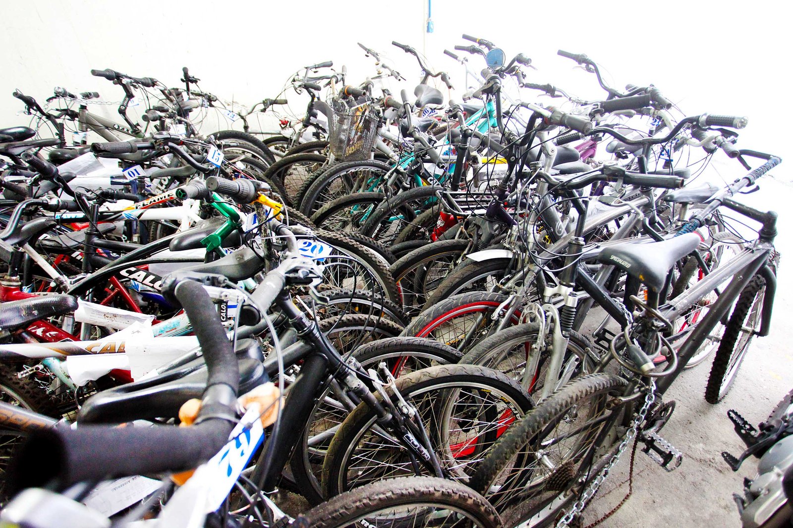 Ônibus poderão ser obrigados a oferecer suportes para bicicletas