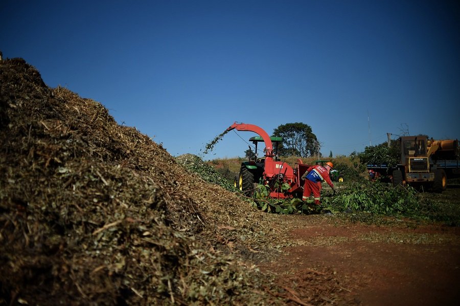Unesp de Botucatu realiza 1º Dia de Campo de Compostagem