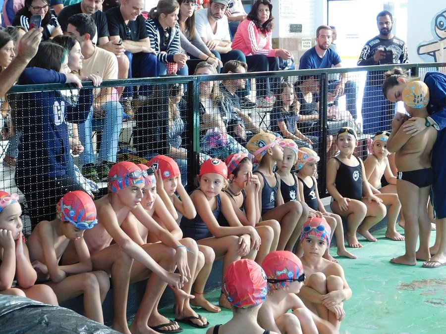 AAB vai sediar Festival Paulistinha de Natação da Federação Paulista