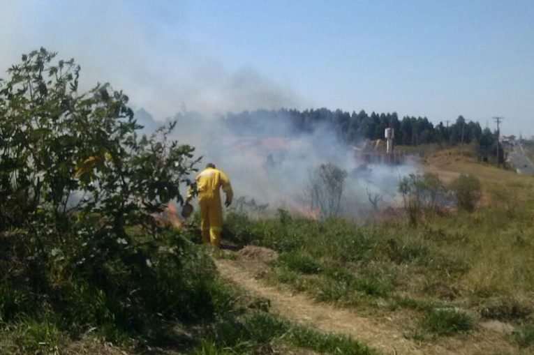 Brigada Municipal de Incêndio já atuou em 20 casos na Cidade