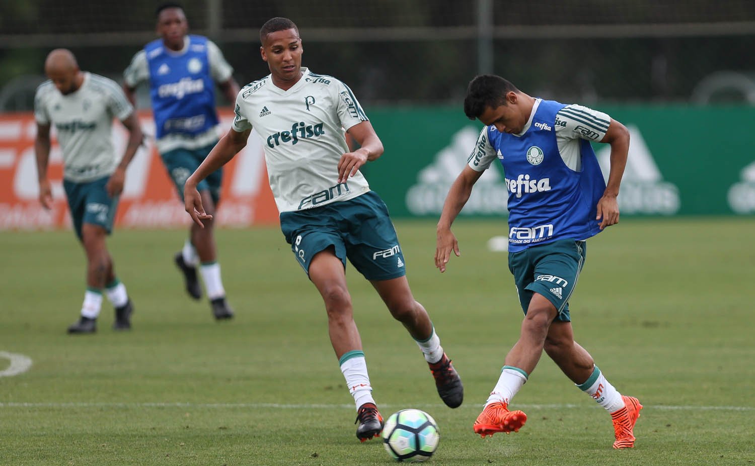 Palmeiras enfrenta o Grêmio na busca do líder; São Paulo tenta se firmar longe da degola