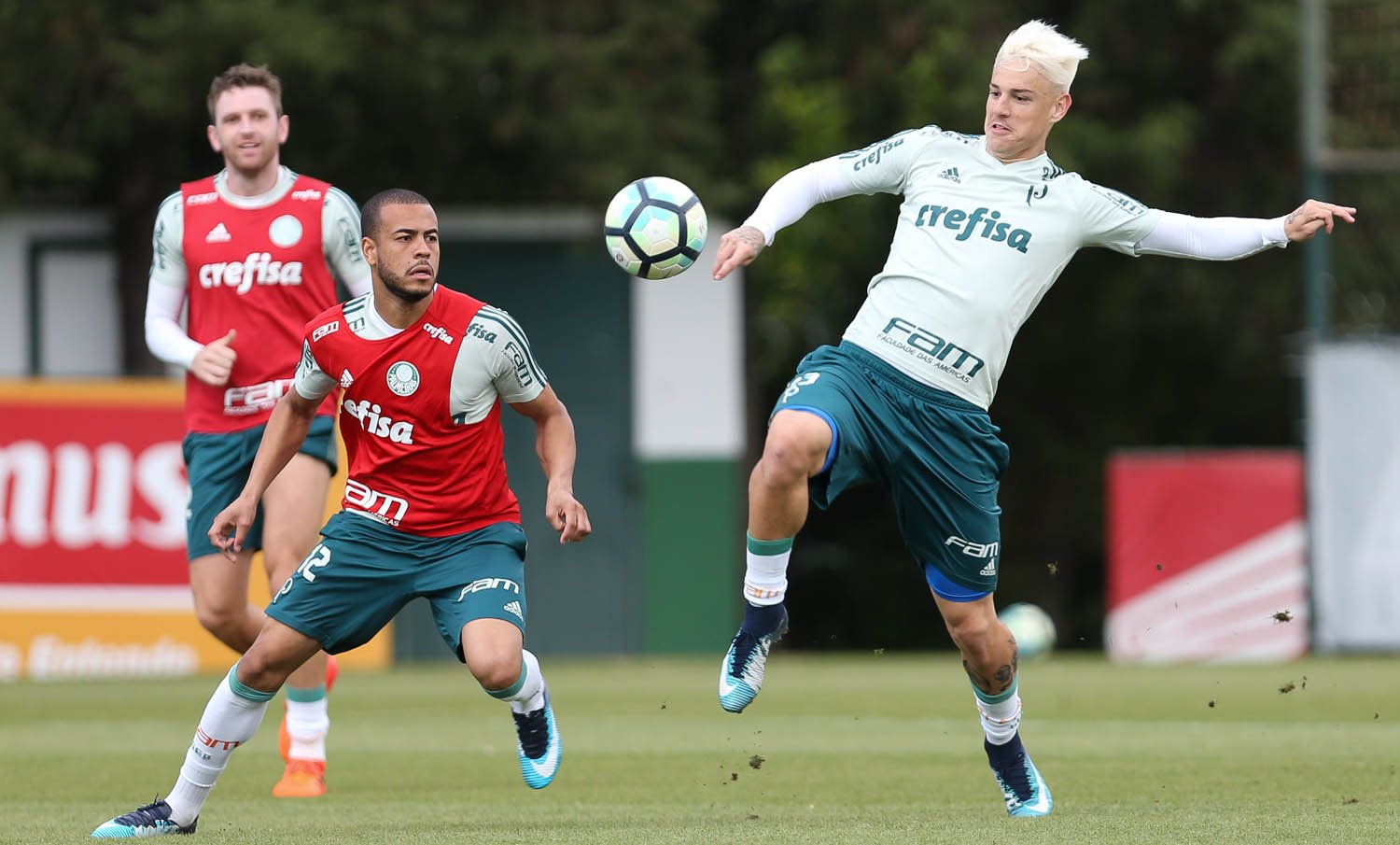 Em casa, Palmeiras enfrenta o Botafogo pela vice-liderança