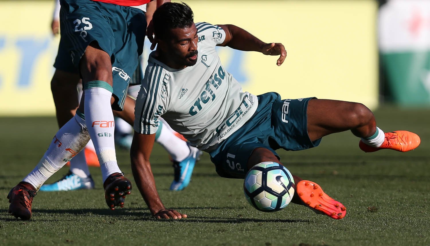 Palmeiras encara o Sport por vaga direta na Libertadores