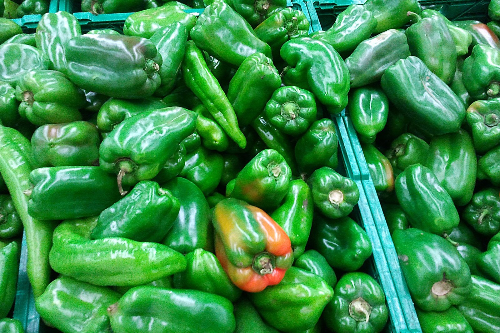 Unesp de Botucatu promove seminário sobre agricultura orgânica