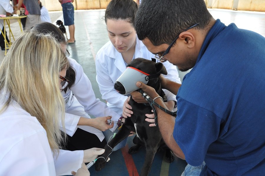 Vigilância Ambiental realiza vacinação antirrábica neste sábado, 23