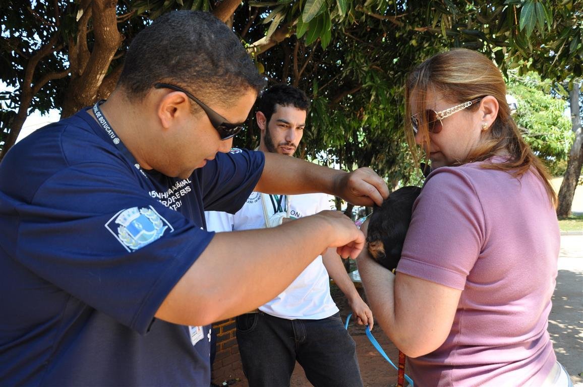 Vigilância vacinou mais de 300 animais contra a Raiva