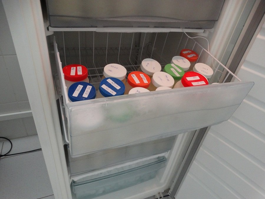 Banco de Leite Humano de Botucatu precisa de doações