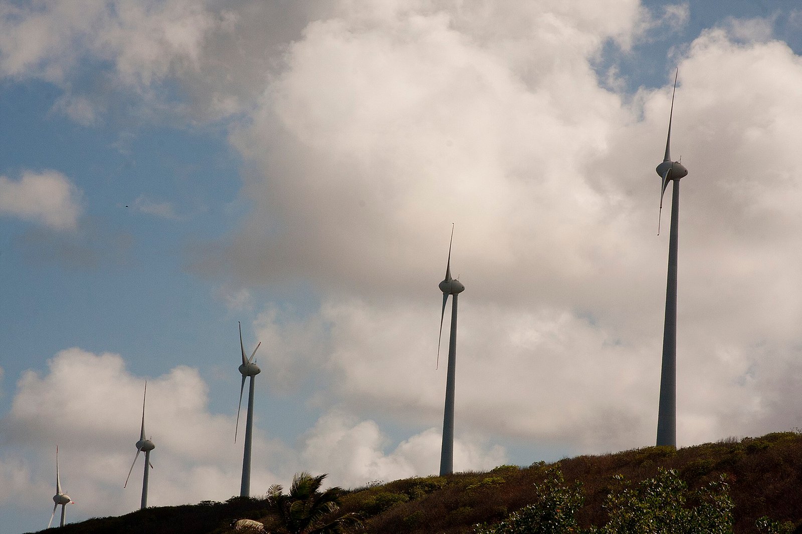 Brasil é o oitavo país do mundo em produção de energia eólica