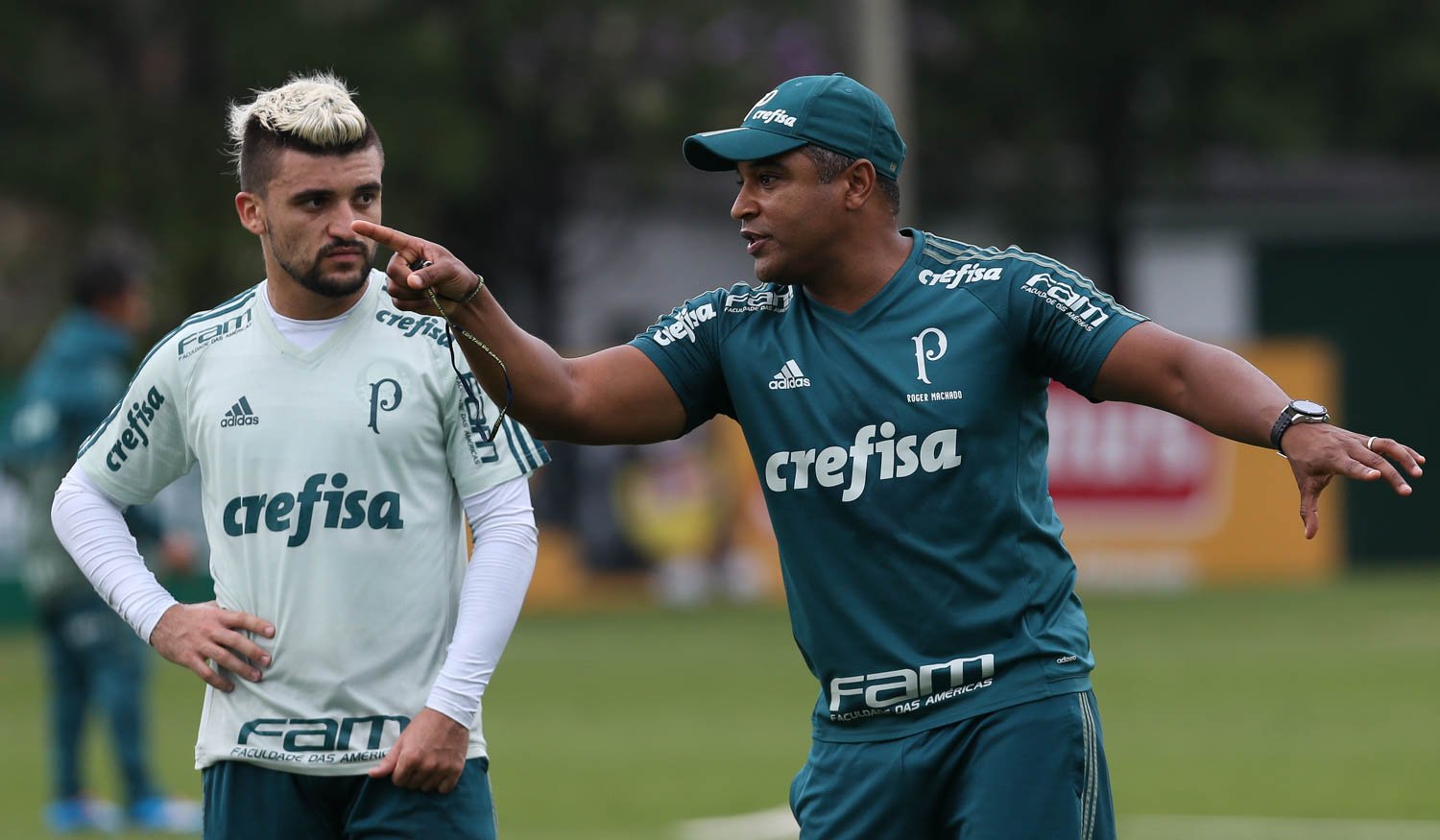 Com ampla vantagem, Palmeiras recebe o Novorizontino para garantir vaga à semifinal do Paulista