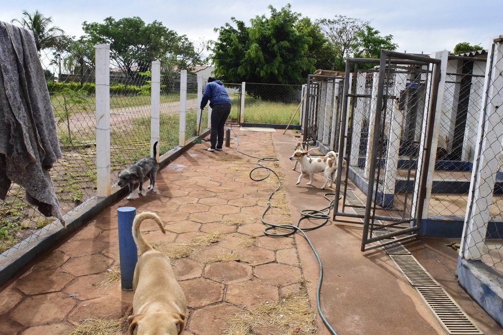 Vigilância Ambiental de São Manuel divulga balanço anual; setor aplicou mais de 5.400 doses de vacina contra a raiva