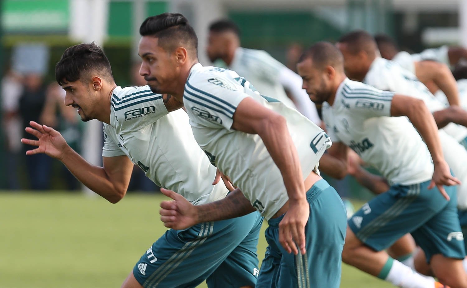 Após o vice polêmico, Palmeiras volta as atenções para a Libertadores