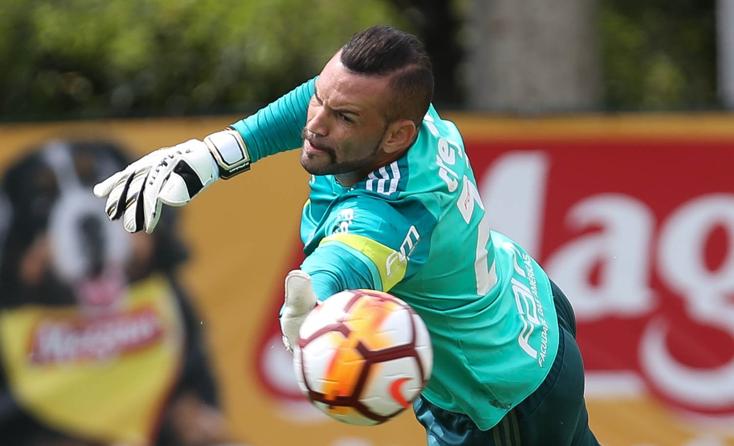 Embalado, Palmeiras faz estreia na Libertadores da América em casa
