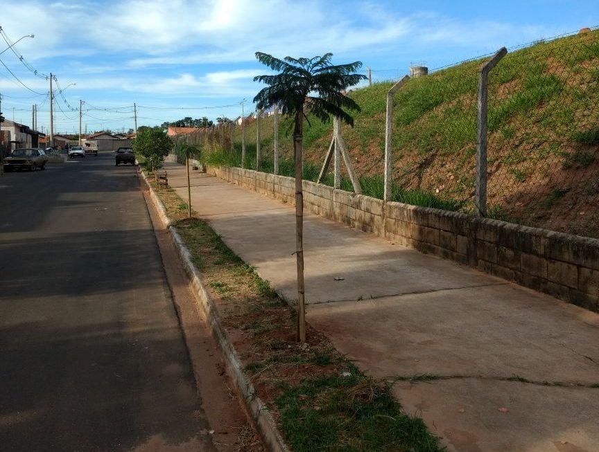 Bairro Santa Maria recebe projeto piloto de Floresta Urbana
