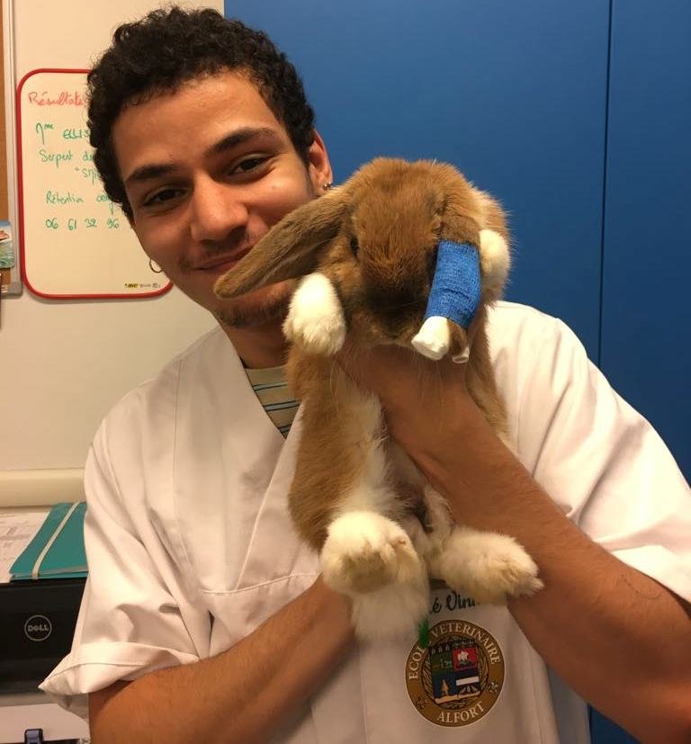 Egresso da FMVZ/Unesp vai cursar Internato em universidade francesa